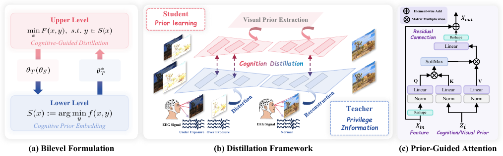 Human-Centric Multi-Exposure Fusion: Benchmark and Bi-level Cognition Distillation Framework method figure
