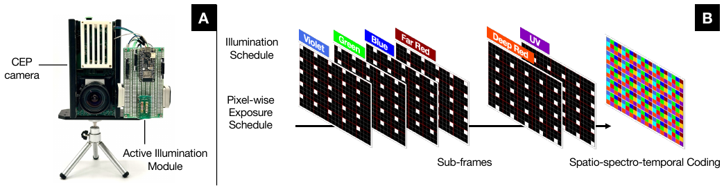 Lumosaic: Hyperspectral Video via Active Illumination and Coded-Exposure Pixels method figure